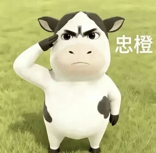 img_v3_02ut_f03a2192-232a-45b8-a8a6-36e85db940eg