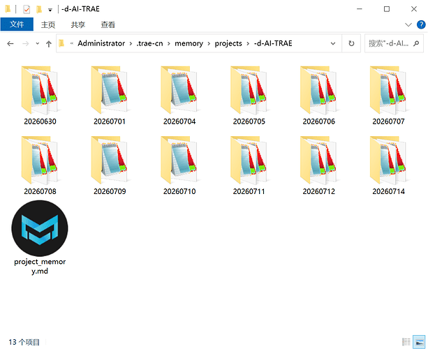 3项目