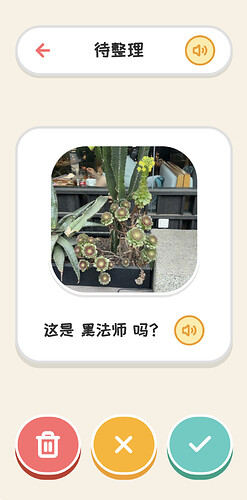 待整理植物详情页