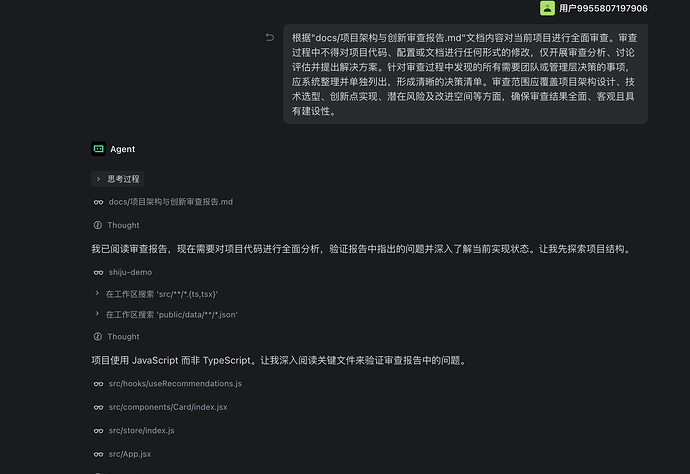截图4：项目架构和创新审查报告