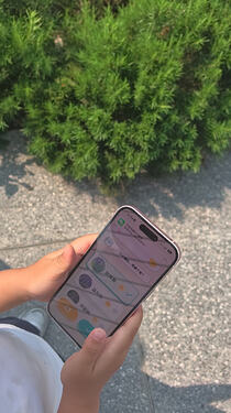 选择最像的植物