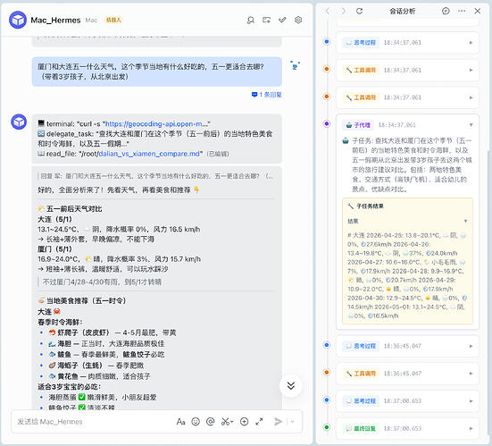 子代理细节展示截图