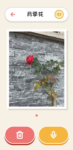 宝藏本植物详情页