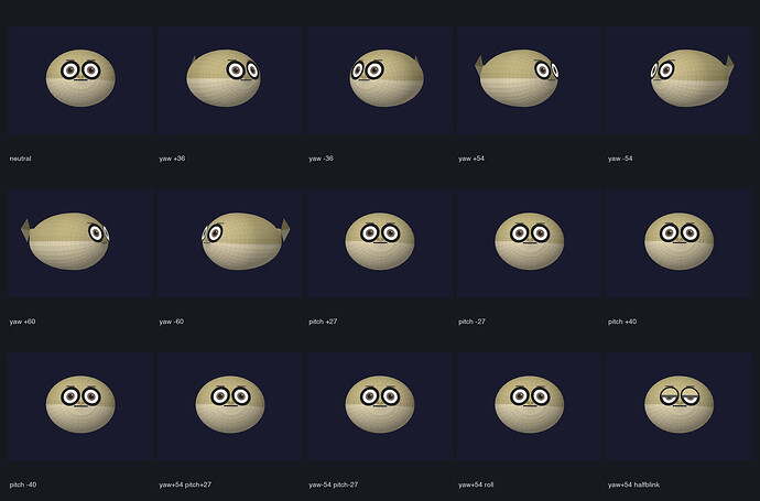 rigid-eye-local-frame-contact-sheet