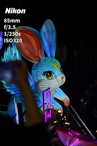 xtfoto20260406