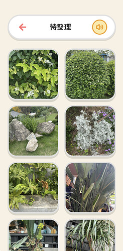 待整理列表