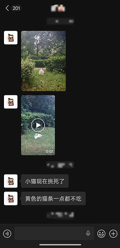 4677f1dae393a95e23c1fbe539555491