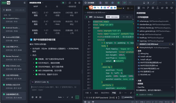 项目本地数据处理方案